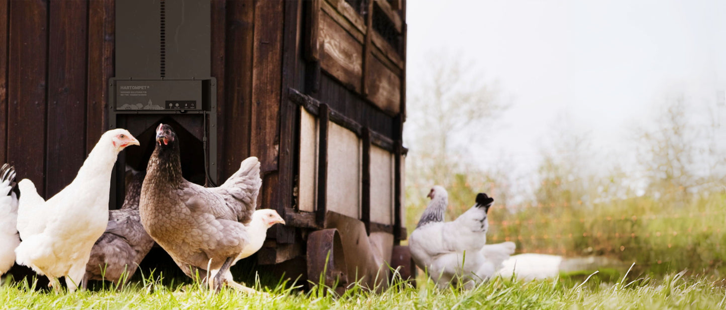 HARTOMPET Superior to Other Anti-Pinch Solutions - Automatic Chicken Coop Door - Programmable w/App - Battery/Solar Panel/Grid Operated - Electric Chicken Door Opener - Regulations Certified - E6