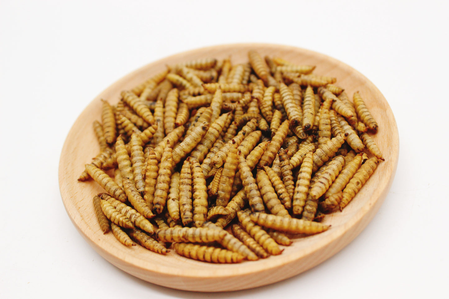 HARTOMPET Smart Coop Door & 5LB Non-GMO Dried Black Soldier Fly Larvae