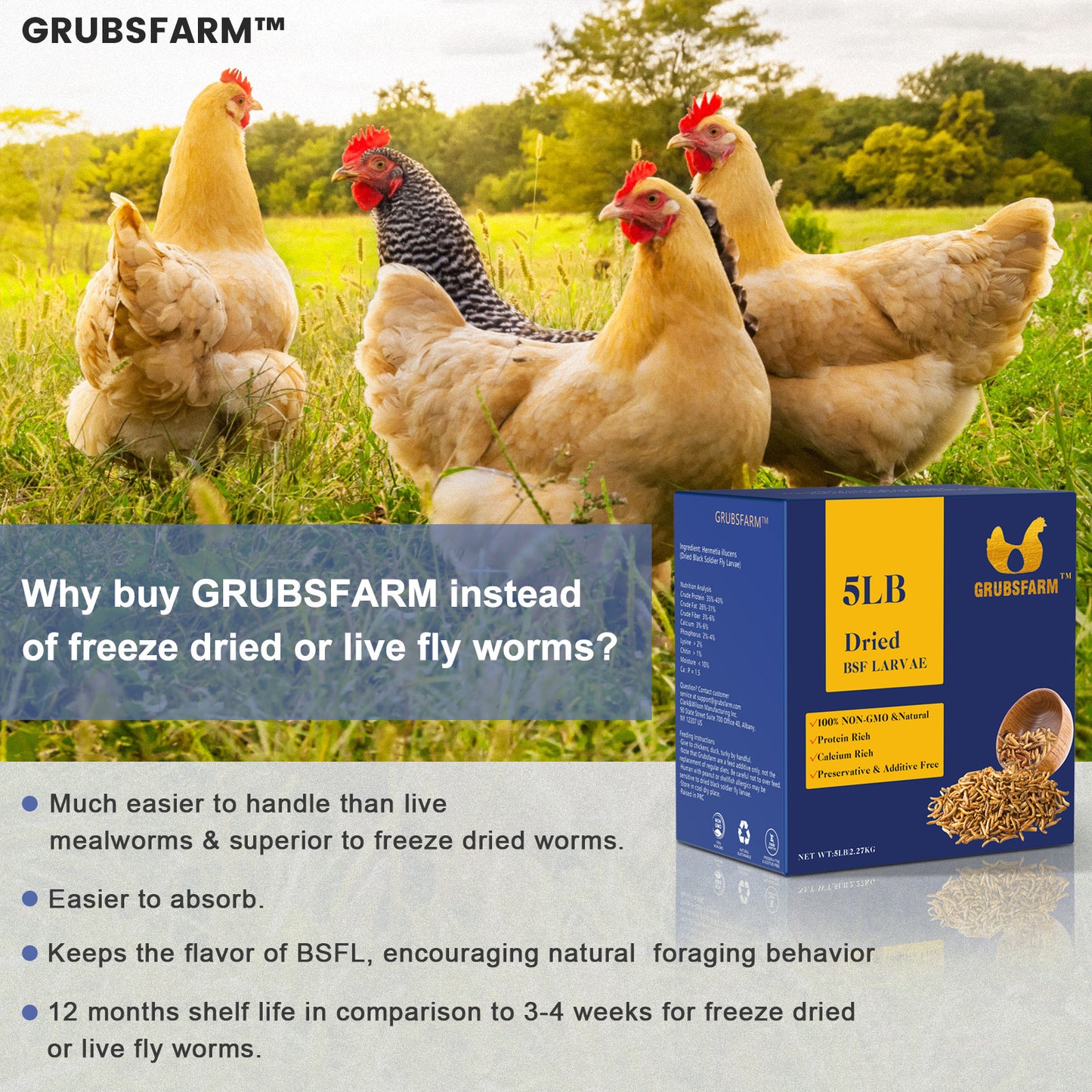 GRUBSFARM Dried Black Soldier Fly Larvae - ALL Natural - Non-GMO - Molting Supplement