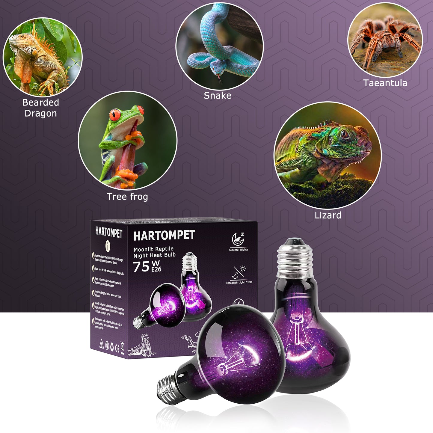 HARTOMPET Reptile Night Light Bulb, UVA Heat Lamp - Simulate Natural Moonlight, Purple Basking Lamp for Bearded Dragon, Lizard, Snake, Chameleon, Turtle, and Amphibians, Ideal for Aquariums Tanks