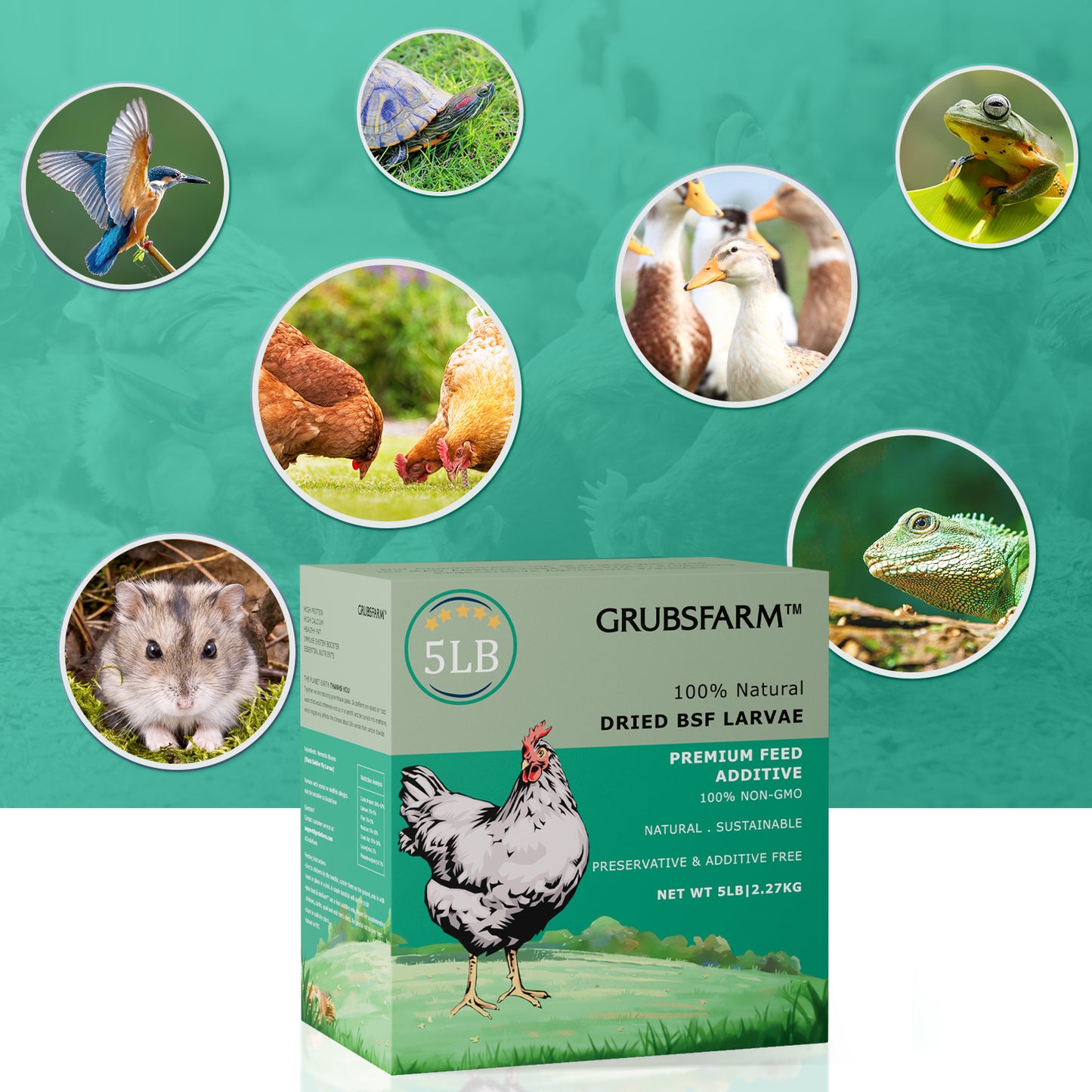 HARTOMPET Premium Dried Black Soldier Fly Larvae for Chickens - Superior to Mealworms - 85X More Calcium Than Meal Worms - Molting & Laying Hens Supplement - Non-GMO BSF Larvae Treats for Ducks