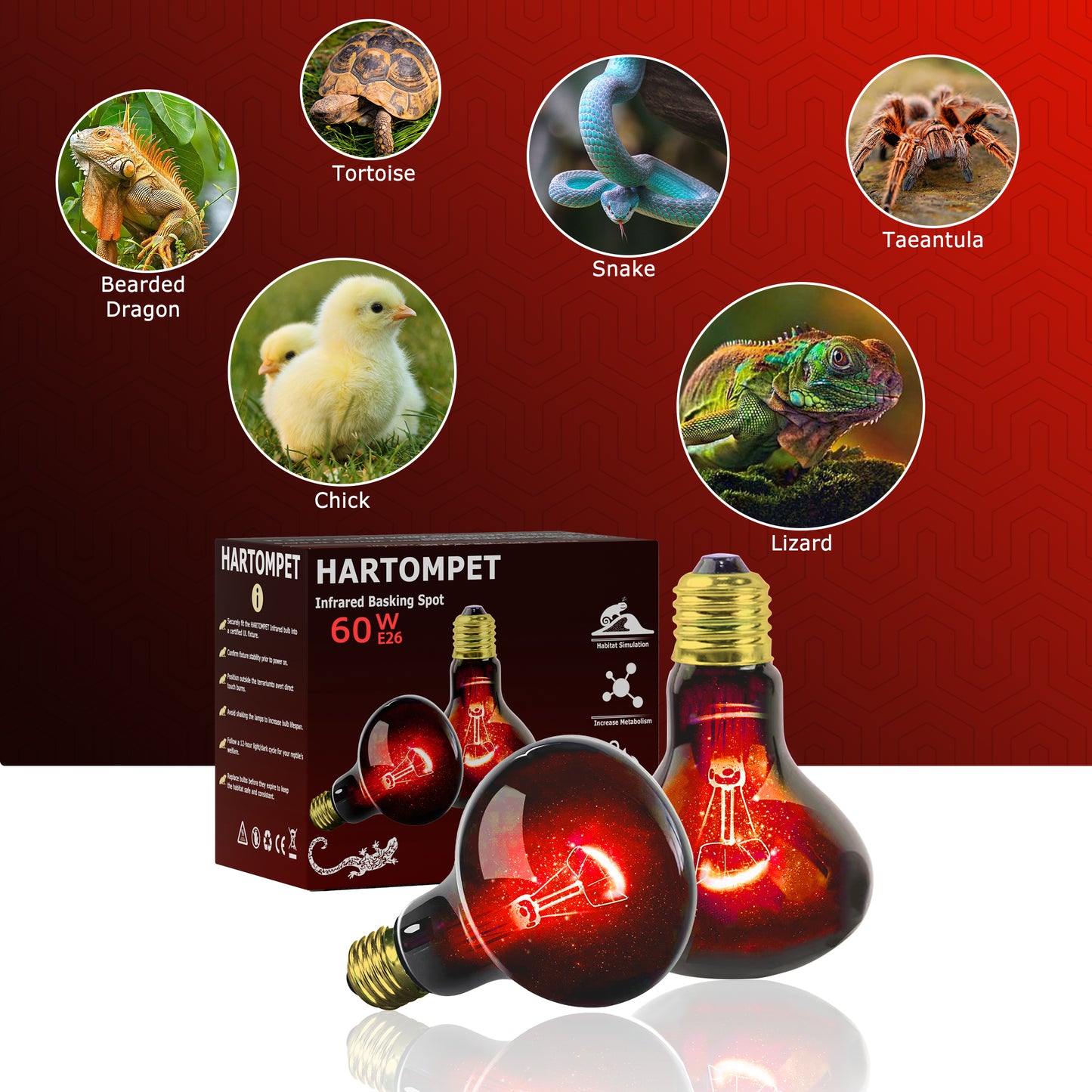 HARTOMPET Infrared Basking Spot Light Bulbs for Reptiles&Amphibians,Suitable for Bearded Dragons, Snakes, Turtles&Lizards, Red Heat Lamp Bulbs Ideal for Pet Brooders,Reptile Terrarium&Turtle Tank
