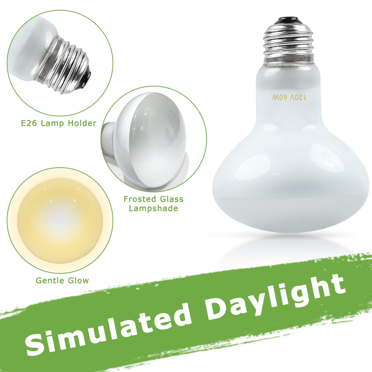HARTOMPET Reptile Heat Lamp Bulbs, UVA Basking Spot Light for Bearded Dragon, Lizard, Tortoise, Chicks, Other Reptiles & Amphibians - Simulated Natural Sunlight Terrarium Heat Lamps | 2 Pack