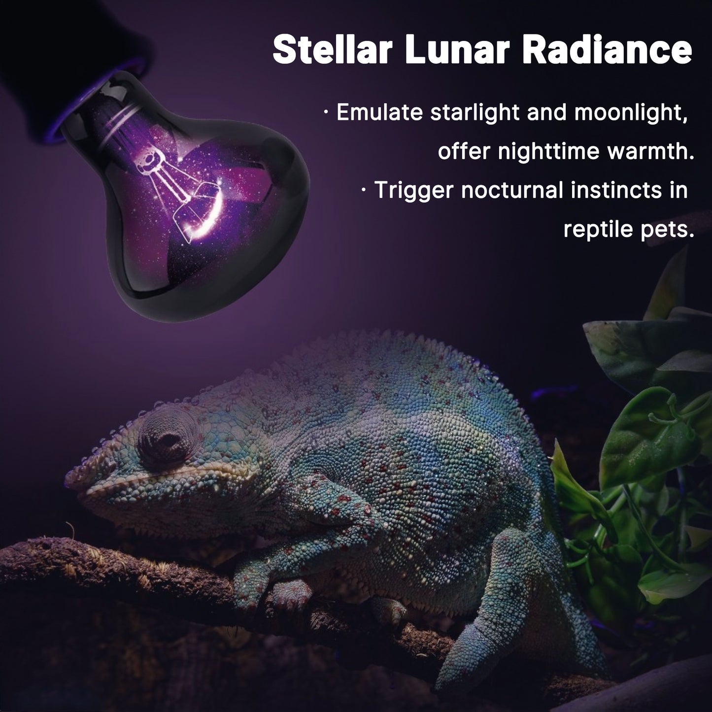 HARTOMPET Reptile Night Light Bulb, UVA Heat Lamp - Simulate Natural Moonlight, Purple Basking Lamp for Bearded Dragon, Lizard, Snake, Chameleon, Turtle, and Amphibians, Ideal for Aquariums Tanks