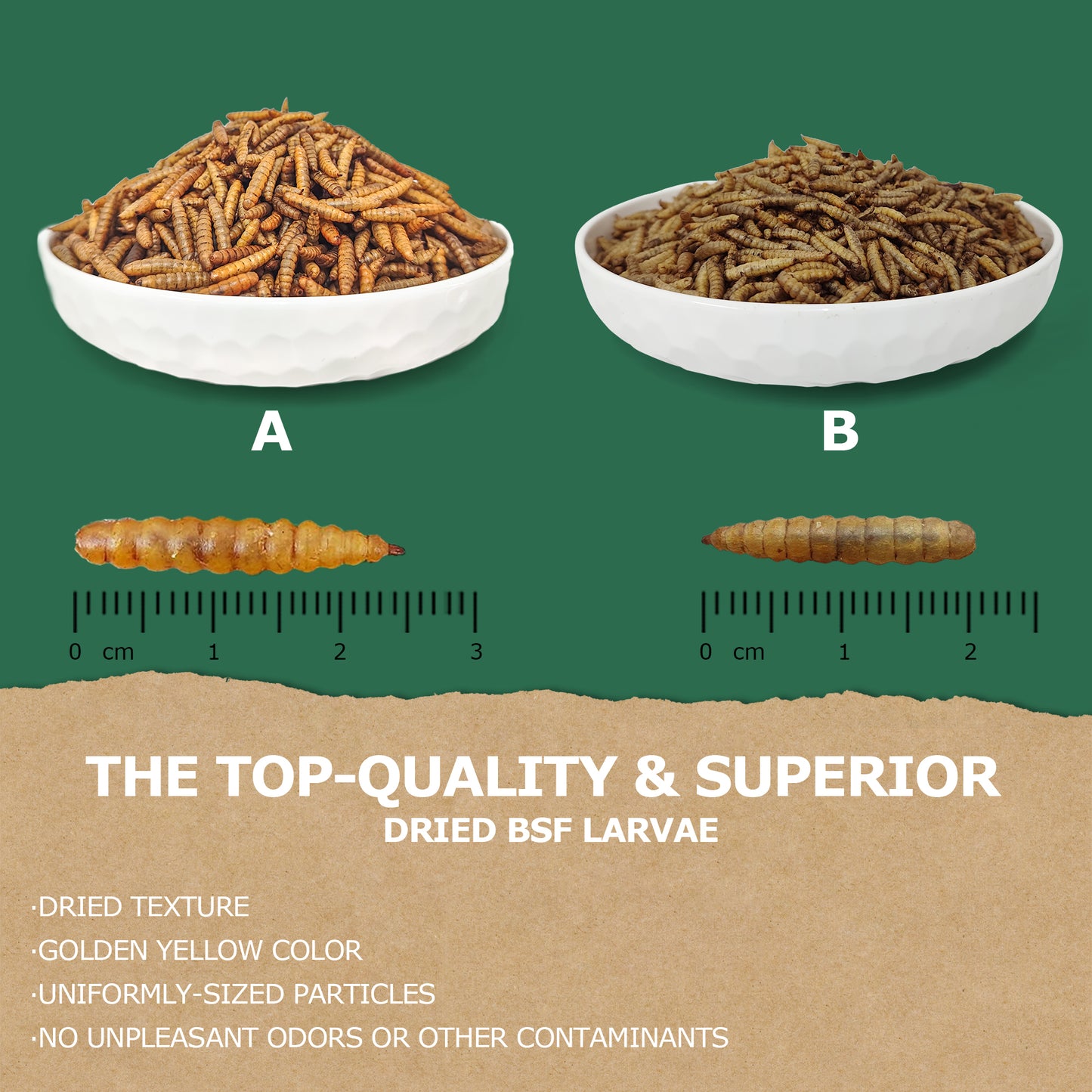 HARTOMPET Non-GMO Dried Black Soldier Fly Larvae | Top Grade BSF