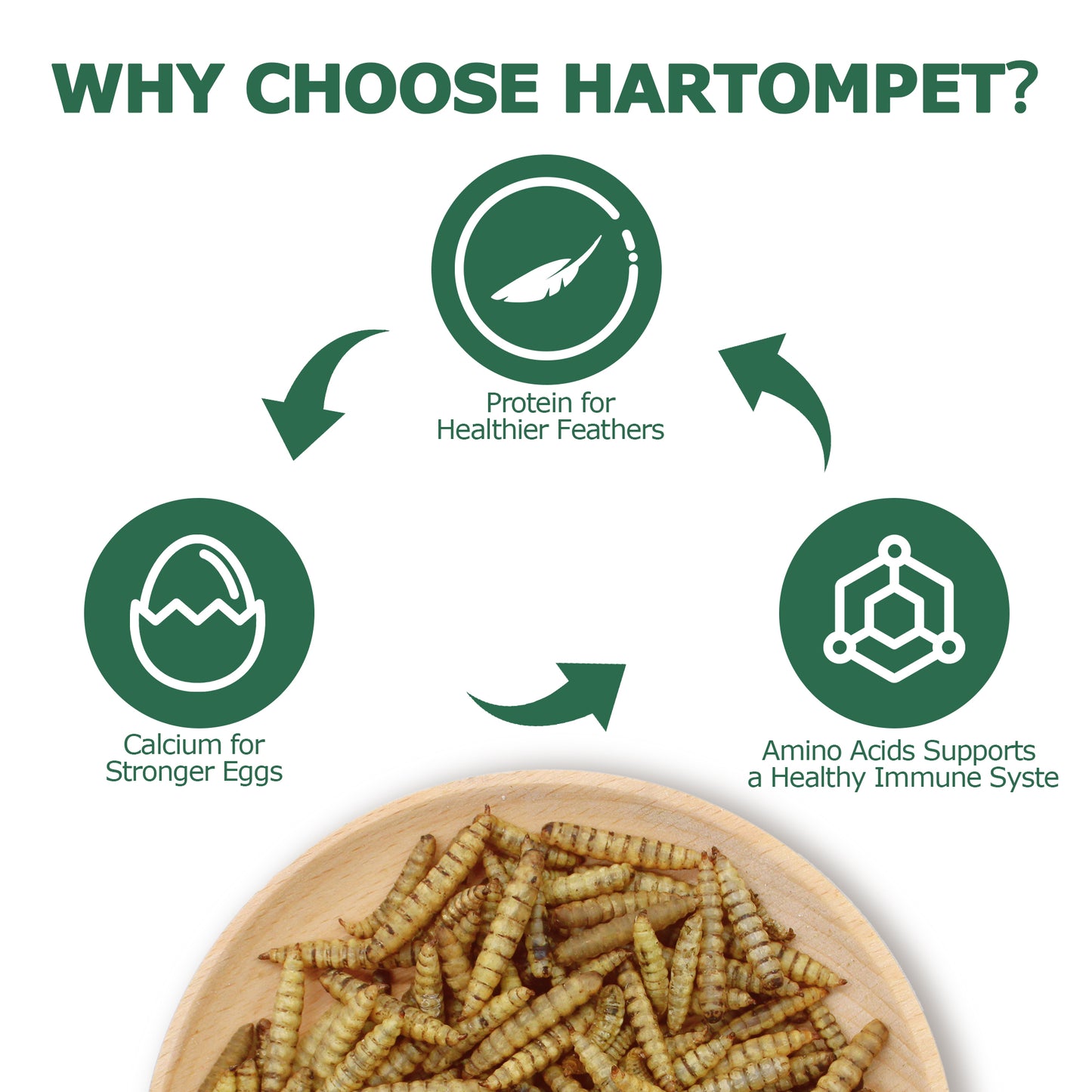 HARTOMPET Dried Black Soldier Fly Larvae - Non-GMO, 85X More Calcium Than Mealworms