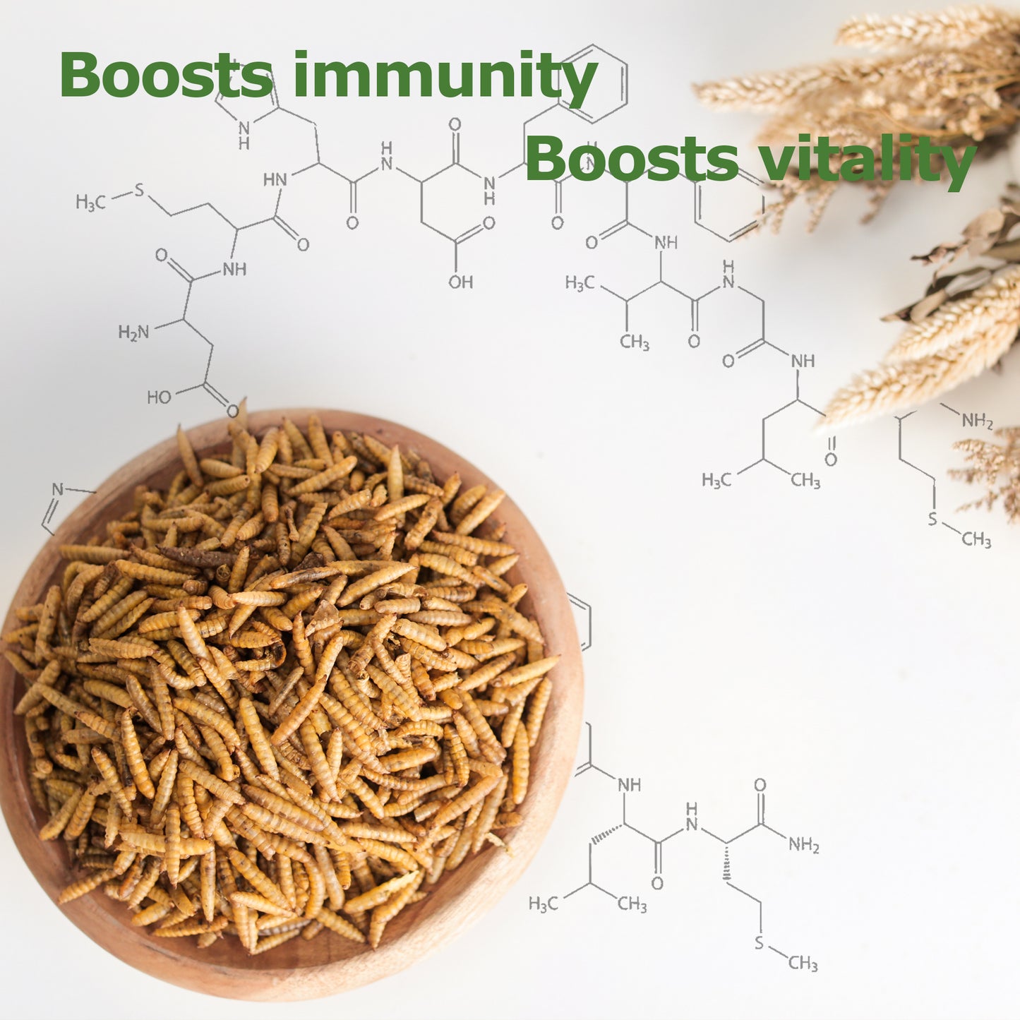 HARTOMPET Dried Black Soldier Fly Larvae, Non-GMO, Strong Egg Production and Health