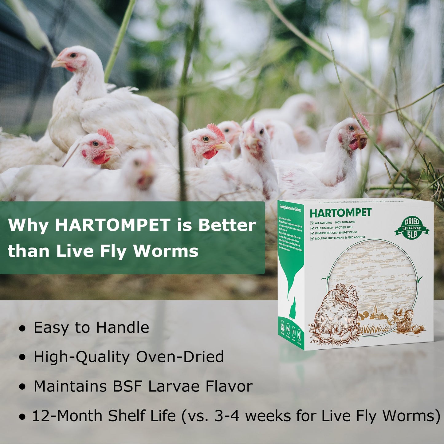 HARTOMPET Dried Black Soldier Fly Larvae - Non-GMO, 85X More Calcium Than Mealworms