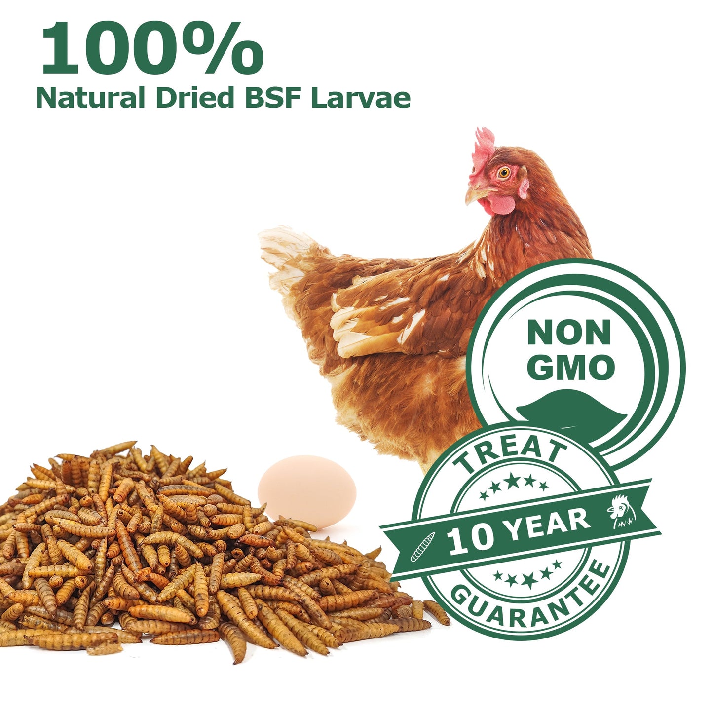 HARTOMPET Dried Black Soldier Fly Larvae - Non-GMO - All Natural