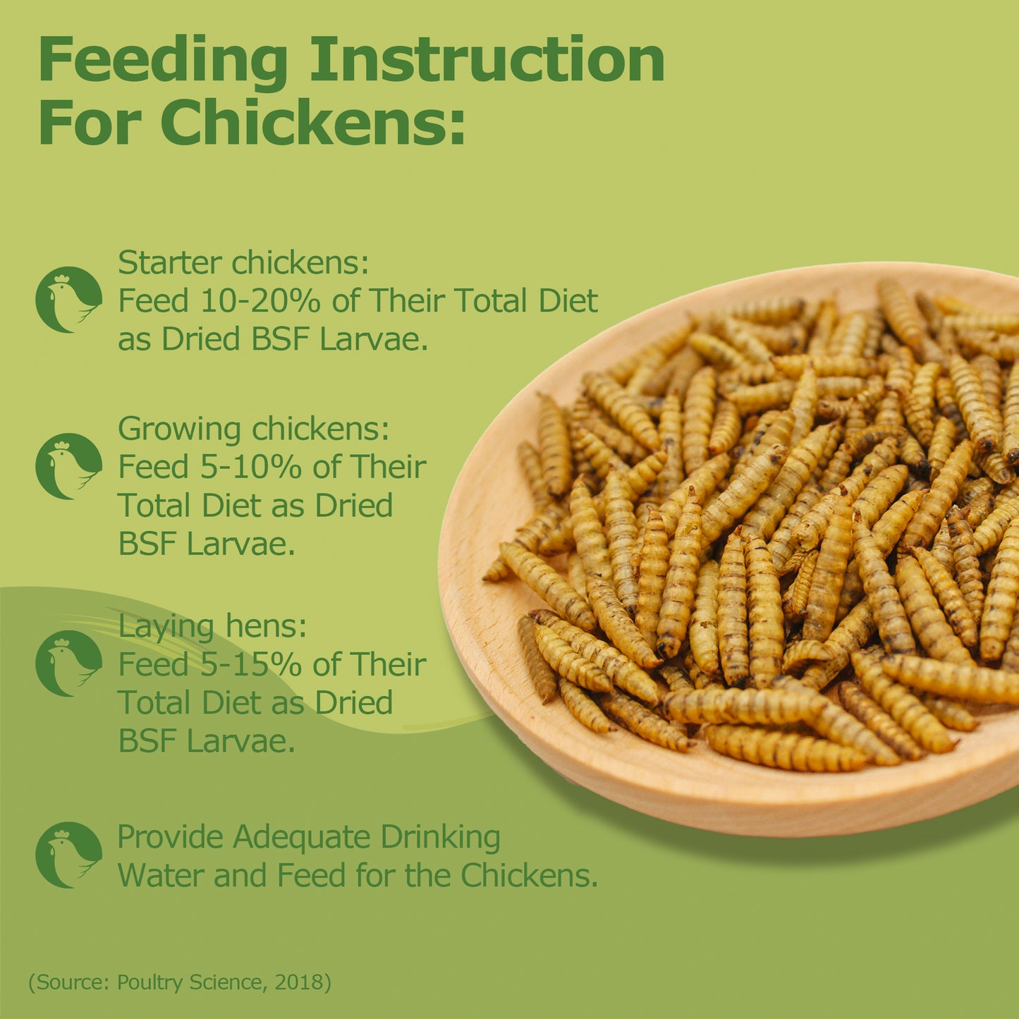 HARTOMPET Dried Black Soldier Fly Larvae, Non-GMO, Strong Egg Production and Health
