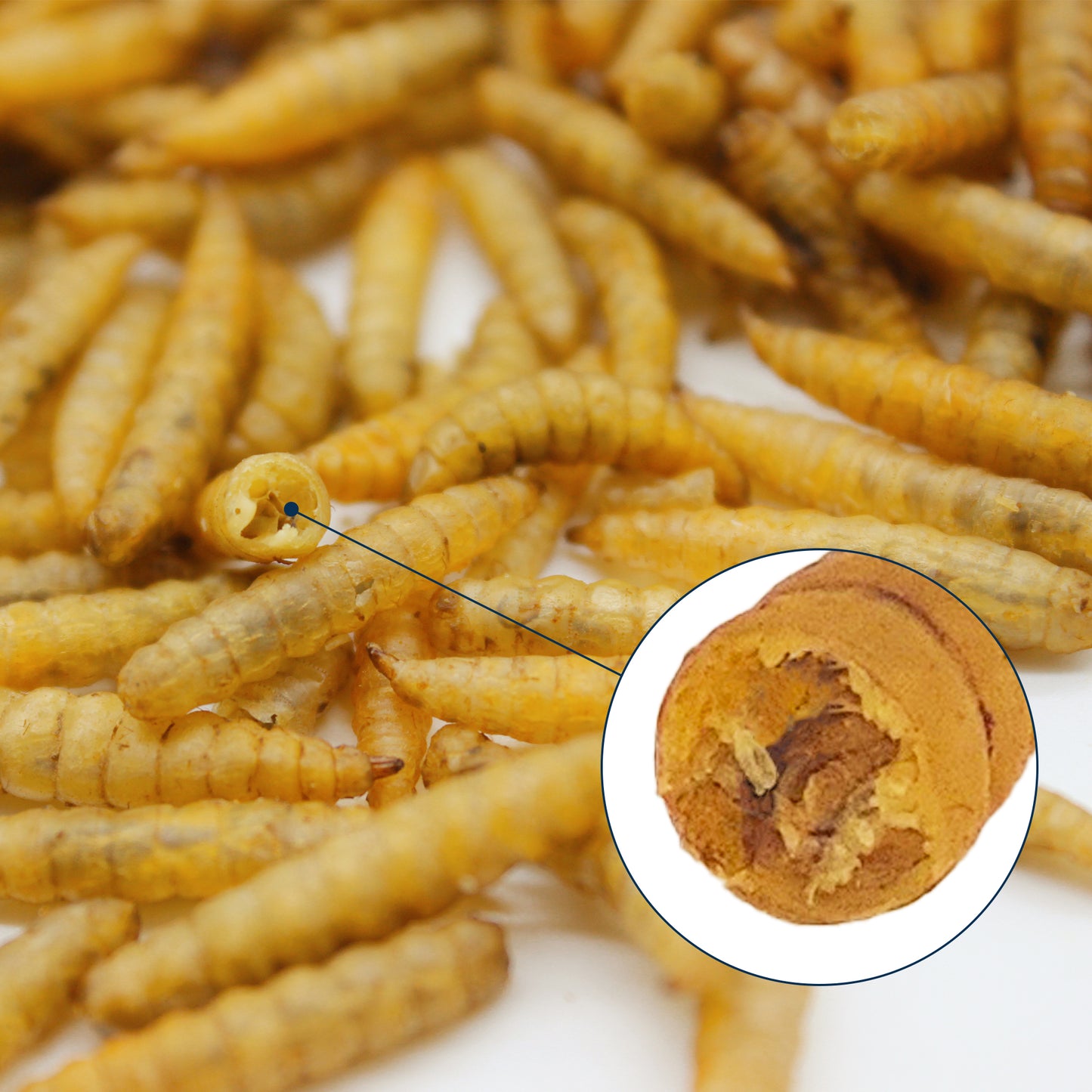 HARTOMPET Nutrient-Rich Dried Black Soldier Fly Larvae, 100% Natural, 85X More Calcium Than Mealworms
