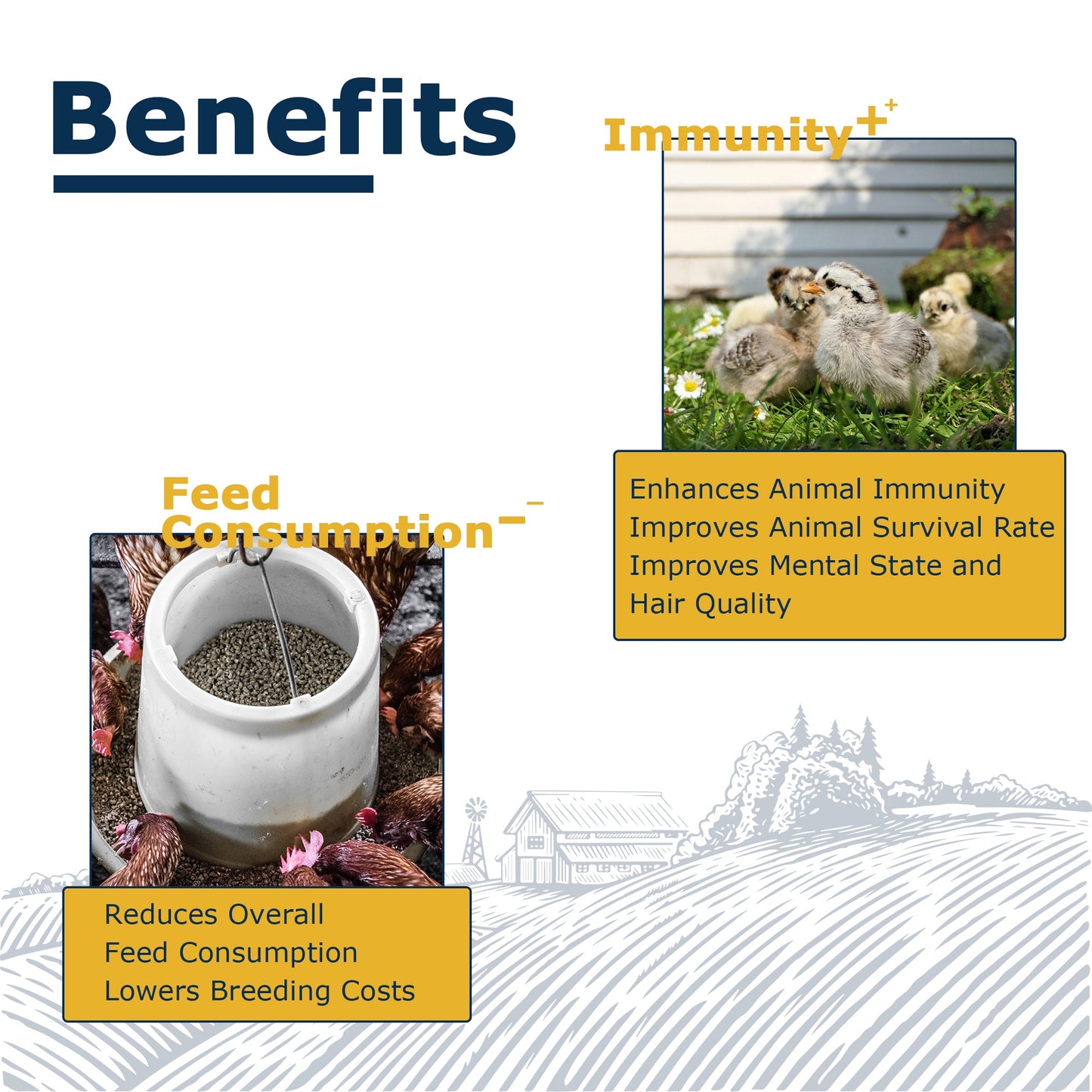 HARTOMPET Nutrient-Rich Dried Black Soldier Fly Larvae, 100% Natural, 85X More Calcium Than Mealworms