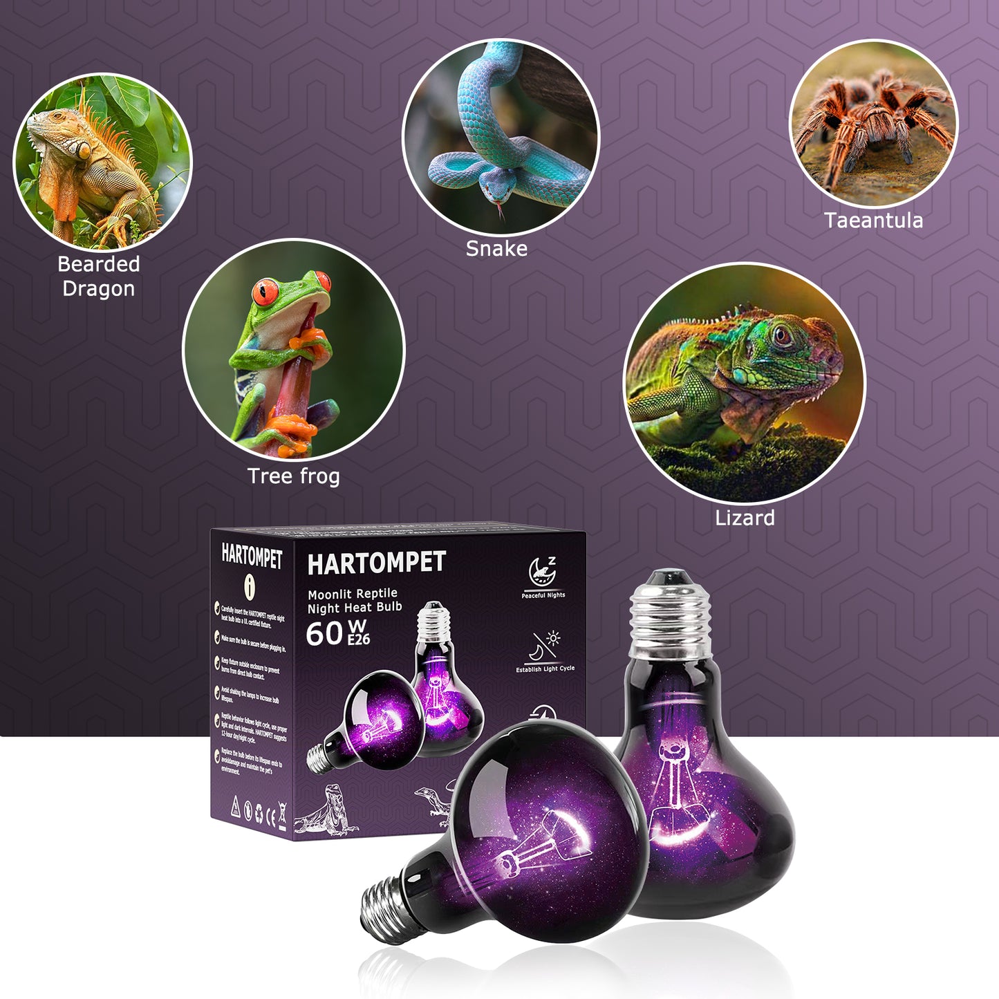 HARTOMPET Reptile Night Light Bulb, UVA Heat Lamp - Simulate Natural Moonlight, Purple Basking Lamp for Bearded Dragon, Lizard, Snake, Chameleon, Turtle, and Amphibians, Ideal for Aquariums Tanks