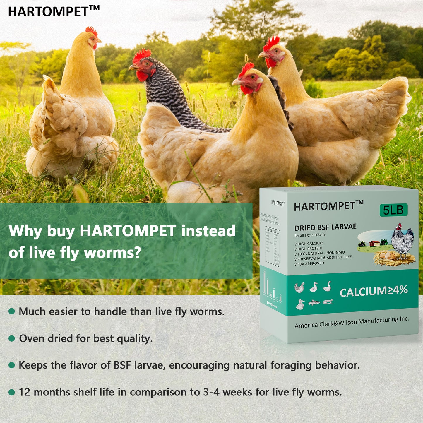 HARTOMPET Dried Black Soldier Fly Larvae - Non-GMO - All Natural