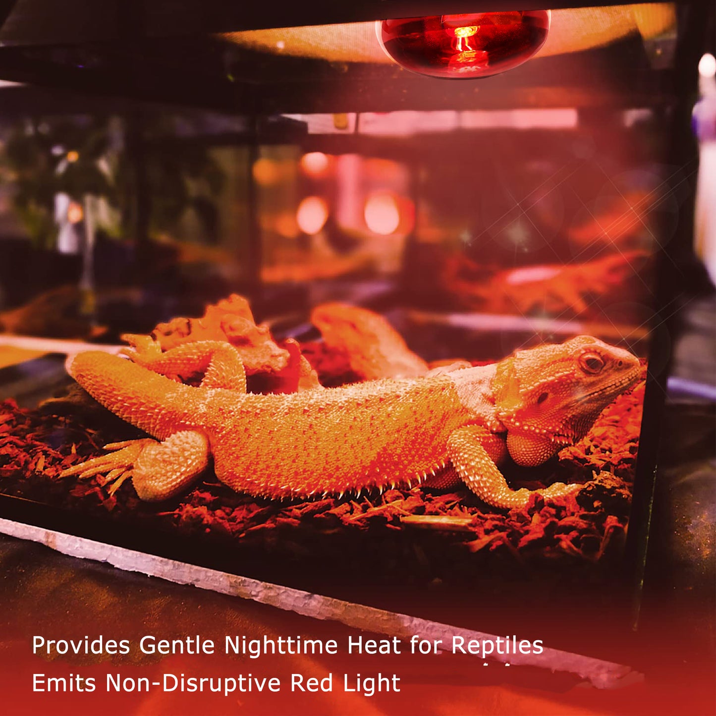 HARTOMPET Infrared Basking Spot Light Bulbs for Reptiles&Amphibians,Suitable for Bearded Dragons, Snakes, Turtles&Lizards, Red Heat Lamp Bulbs Ideal for Pet Brooders,Reptile Terrarium&Turtle Tank