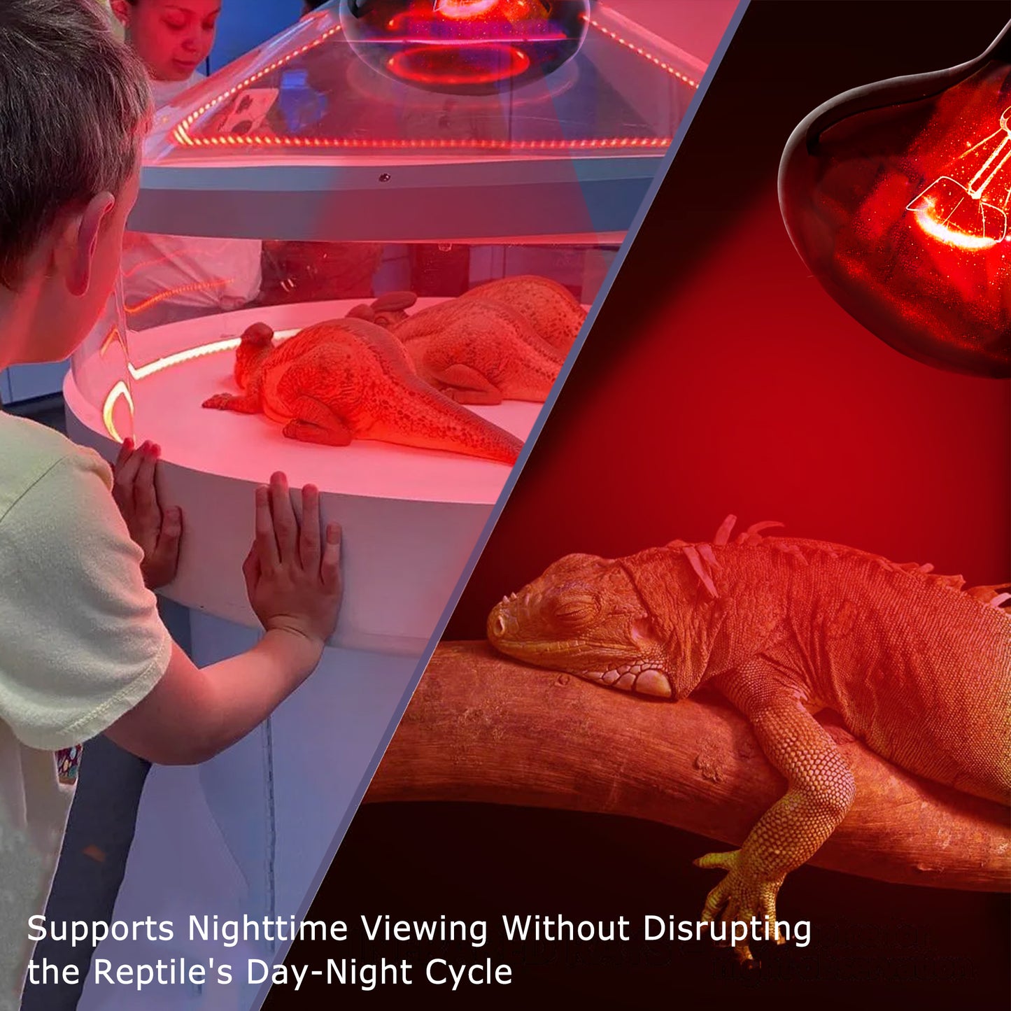 HARTOMPET Infrared Basking Spot Light Bulbs for Reptiles&Amphibians,Suitable for Bearded Dragons, Snakes, Turtles&Lizards, Red Heat Lamp Bulbs Ideal for Pet Brooders,Reptile Terrarium&Turtle Tank