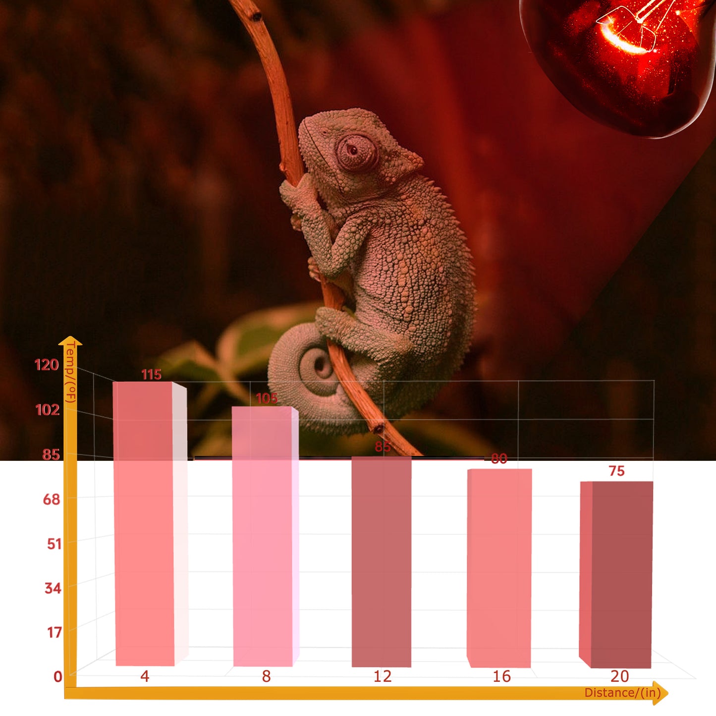 HARTOMPET Infrared Basking Spot Light Bulbs for Reptiles&Amphibians,Suitable for Bearded Dragons, Snakes, Turtles&Lizards, Red Heat Lamp Bulbs Ideal for Pet Brooders,Reptile Terrarium&Turtle Tank