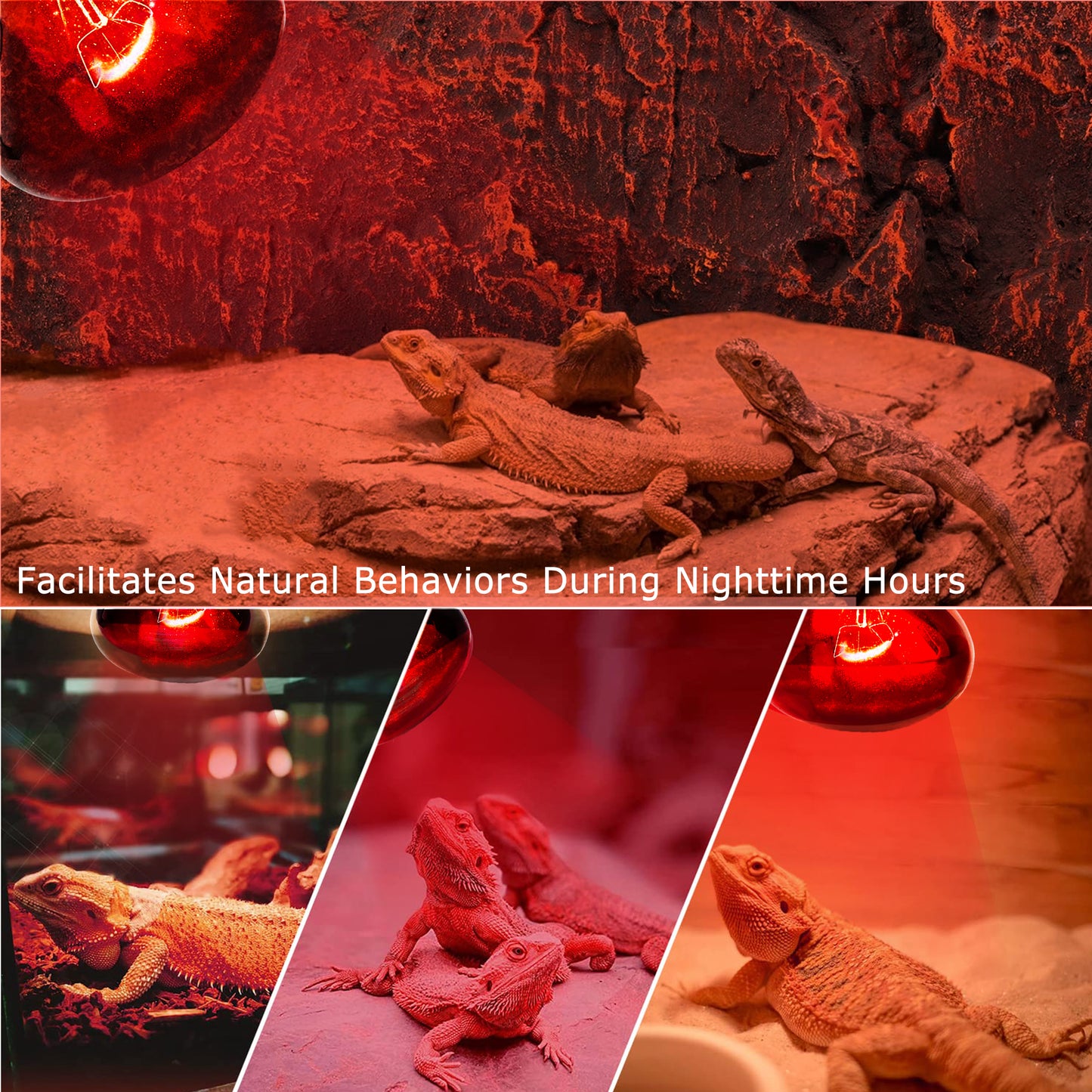 HARTOMPET Infrared Basking Spot Light Bulbs for Reptiles&Amphibians,Suitable for Bearded Dragons, Snakes, Turtles&Lizards, Red Heat Lamp Bulbs Ideal for Pet Brooders,Reptile Terrarium&Turtle Tank