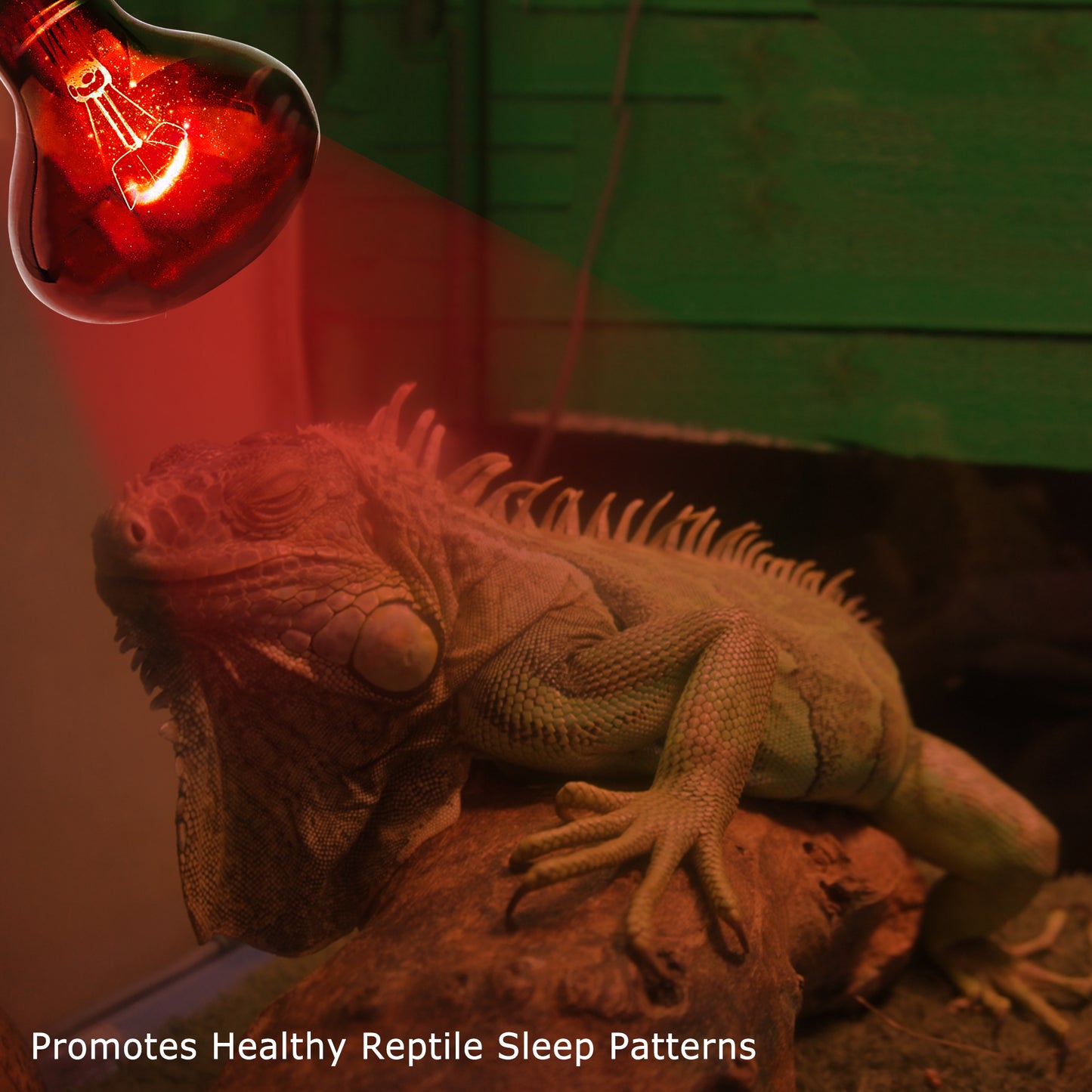 HARTOMPET Infrared Basking Spot Light Bulbs for Reptiles&Amphibians,Suitable for Bearded Dragons, Snakes, Turtles&Lizards, Red Heat Lamp Bulbs Ideal for Pet Brooders,Reptile Terrarium&Turtle Tank