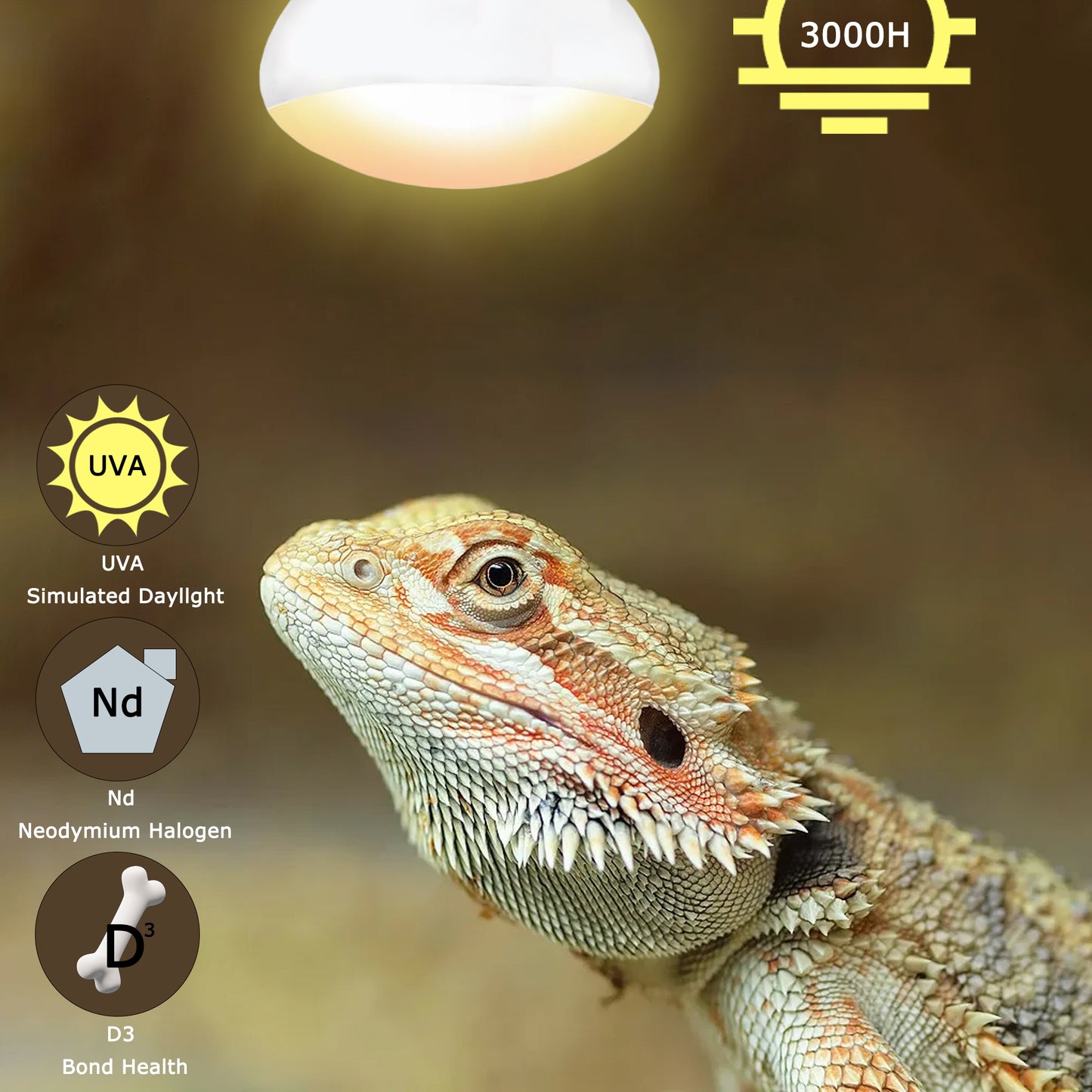 HARTOMPET E26 Reptile Heat Lamp Bulbs, UVA Basking Spot Light for Bearded Dragon, Lizard, Tortoise, Chicks, Other Reptiles & Amphibians - Simulated Natural Sunlight Terrarium Heat Lamps | 2 Pack