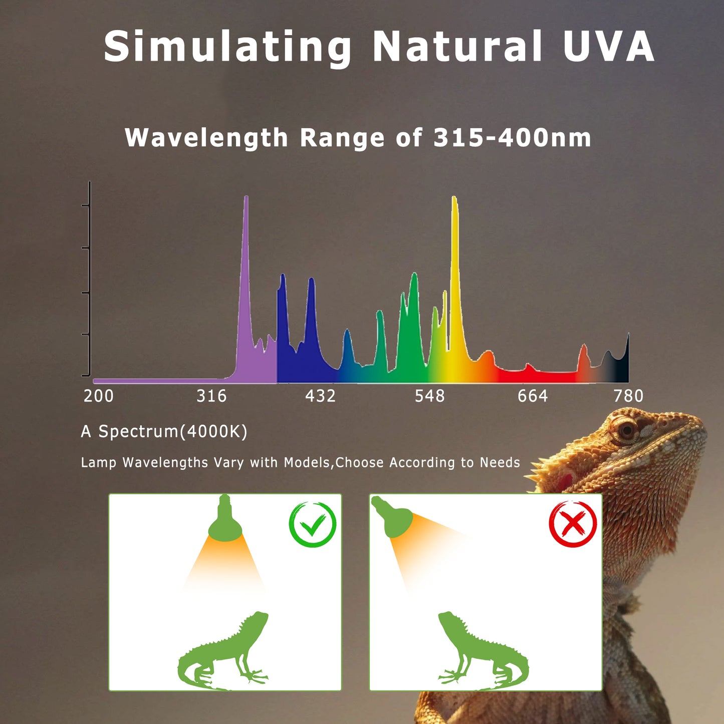 HARTOMPET E26 Reptile Heat Lamp Bulbs, UVA Basking Spot Light for Bearded Dragon, Lizard, Tortoise, Chicks, Other Reptiles & Amphibians - Simulated Natural Sunlight Terrarium Heat Lamps | 2 Pack