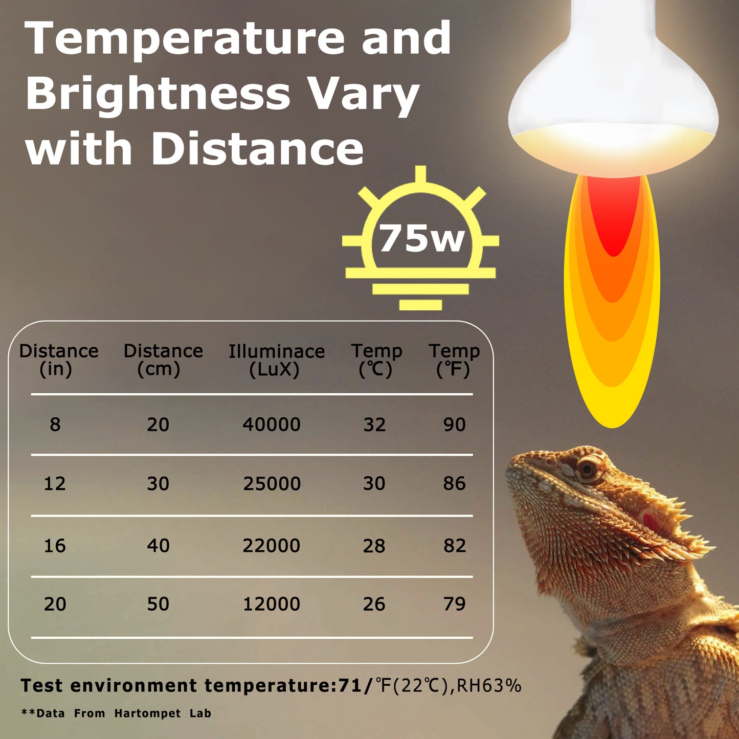 HARTOMPET E26 Reptile Heat Lamp Bulbs, UVA Basking Spot Light for Bearded Dragon, Lizard, Tortoise, Chicks, Other Reptiles & Amphibians - Simulated Natural Sunlight Terrarium Heat Lamps | 2 Pack