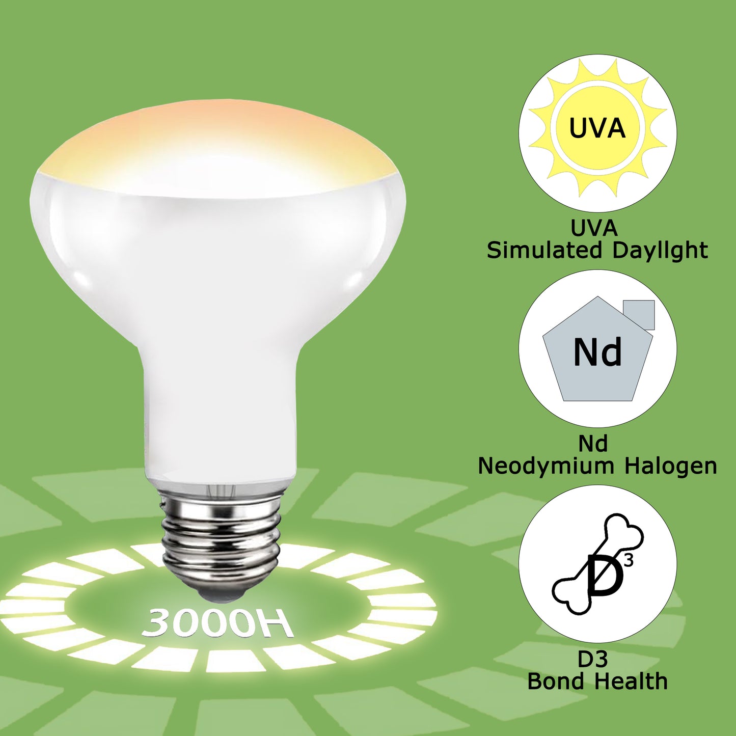 HARTOMPET E26 Reptile Heat Lamp Bulbs, Upgraded UVA Basking Spot Light for Bearded Dragon, Lizard, Tortoise, chicks & Amphibians - Simulated Natural Sunlight, Daylight Bulb fot Terrarium | 2 Pack