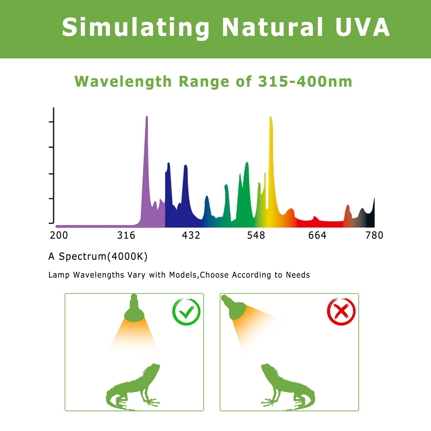 HARTOMPET E26 Reptile Heat Lamp Bulbs, Upgraded UVA Basking Spot Light for Bearded Dragon, Lizard, Tortoise, chicks & Amphibians - Simulated Natural Sunlight, Daylight Bulb fot Terrarium | 2 Pack