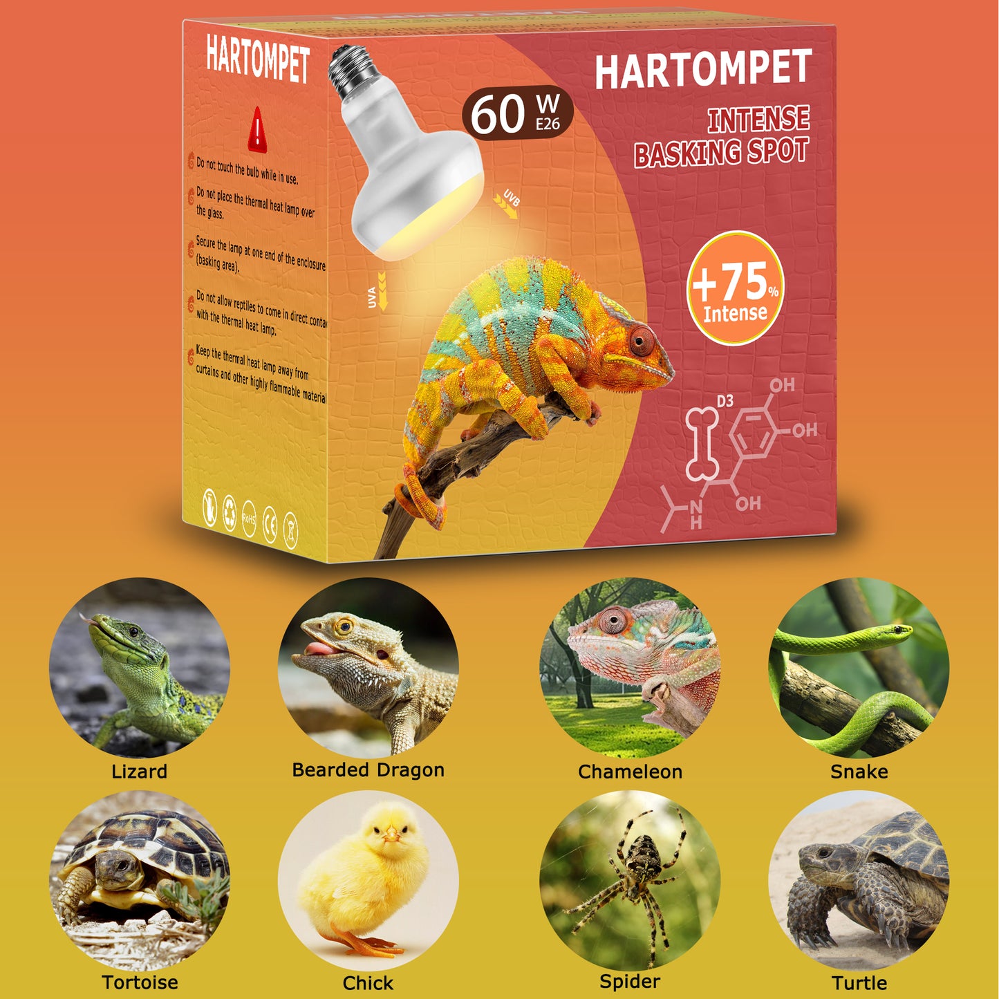HARTOMPET Intense Basking Spot Lamp – UVA Daylight Heat Bulb for Reptiles and Amphibians, Simulates Natural Sunrise and Sunset, Ideal for Bearded Dragons, Snakes, Lizards & Chicks | 2 Pack