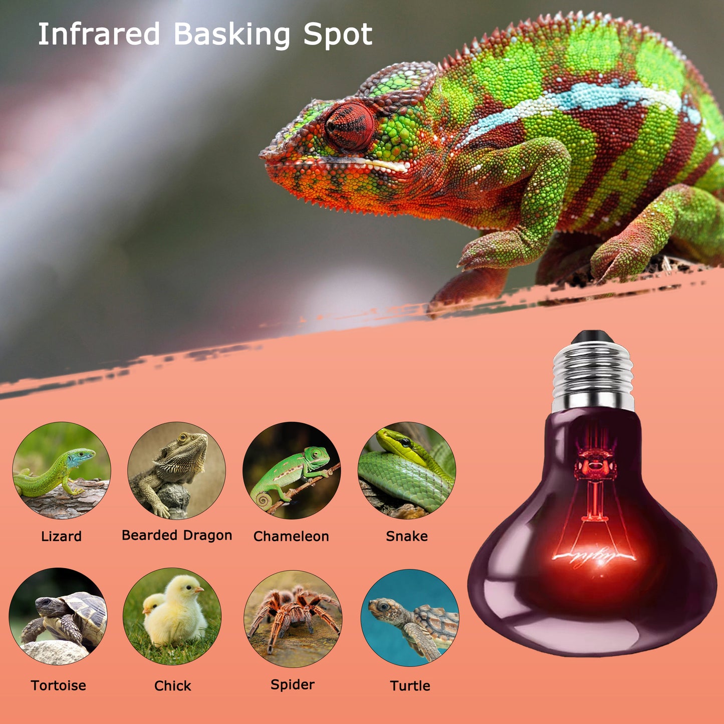HARTOMPET Reptile Night Light Bulb - Simulated Moonlight & Purple Heat Lamp for Reptiles and Amphibians - Perfect UVA Basking Light for Bearded Dragons, Lizards and Aquatic Tanks