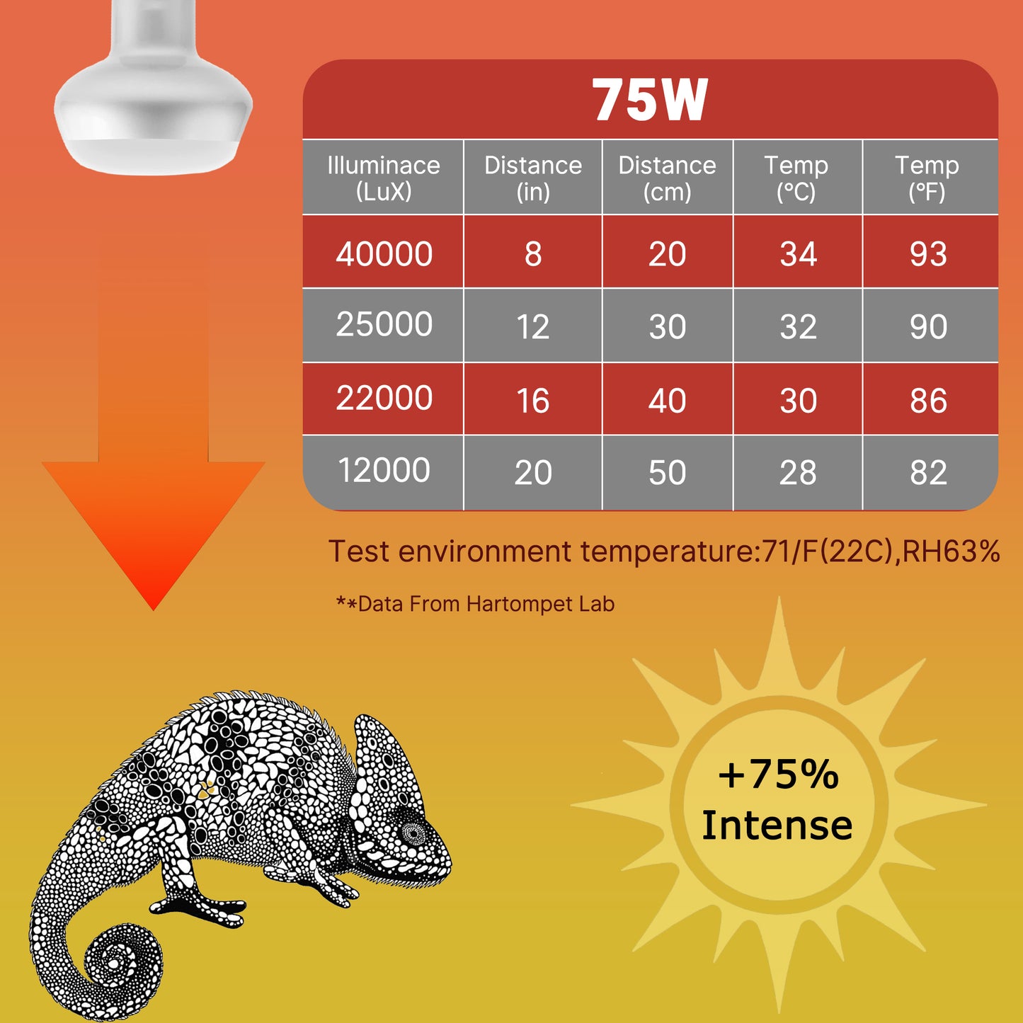HARTOMPET Intense Basking Spot Lamp – UVA Daylight Heat Bulb for Reptiles and Amphibians, Simulates Natural Sunrise and Sunset, Ideal for Bearded Dragons, Snakes, Lizards & Chicks | 2 Pack