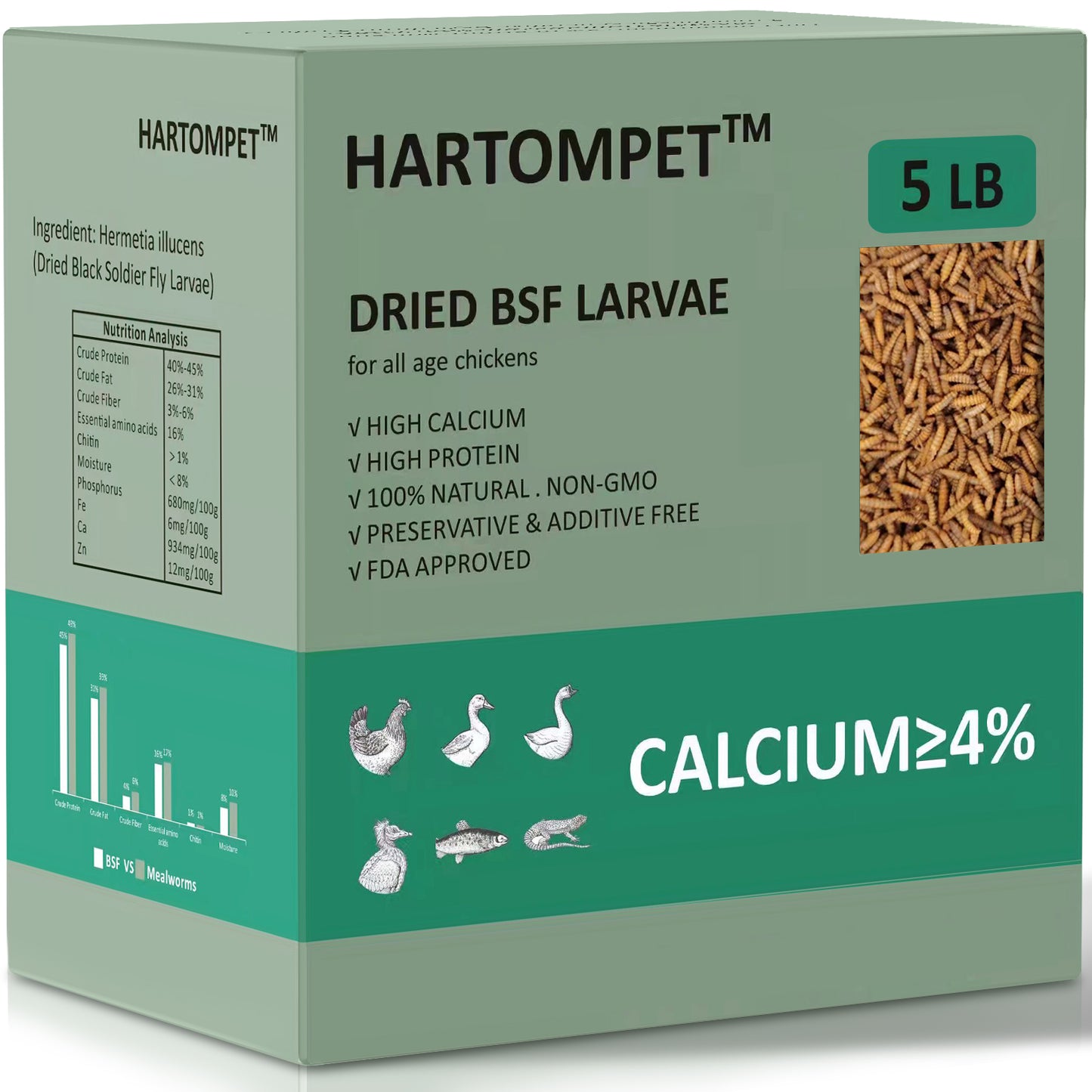 HARTOMPET Dried Black Soldier Fly Larvae - Non-GMO - All Natural