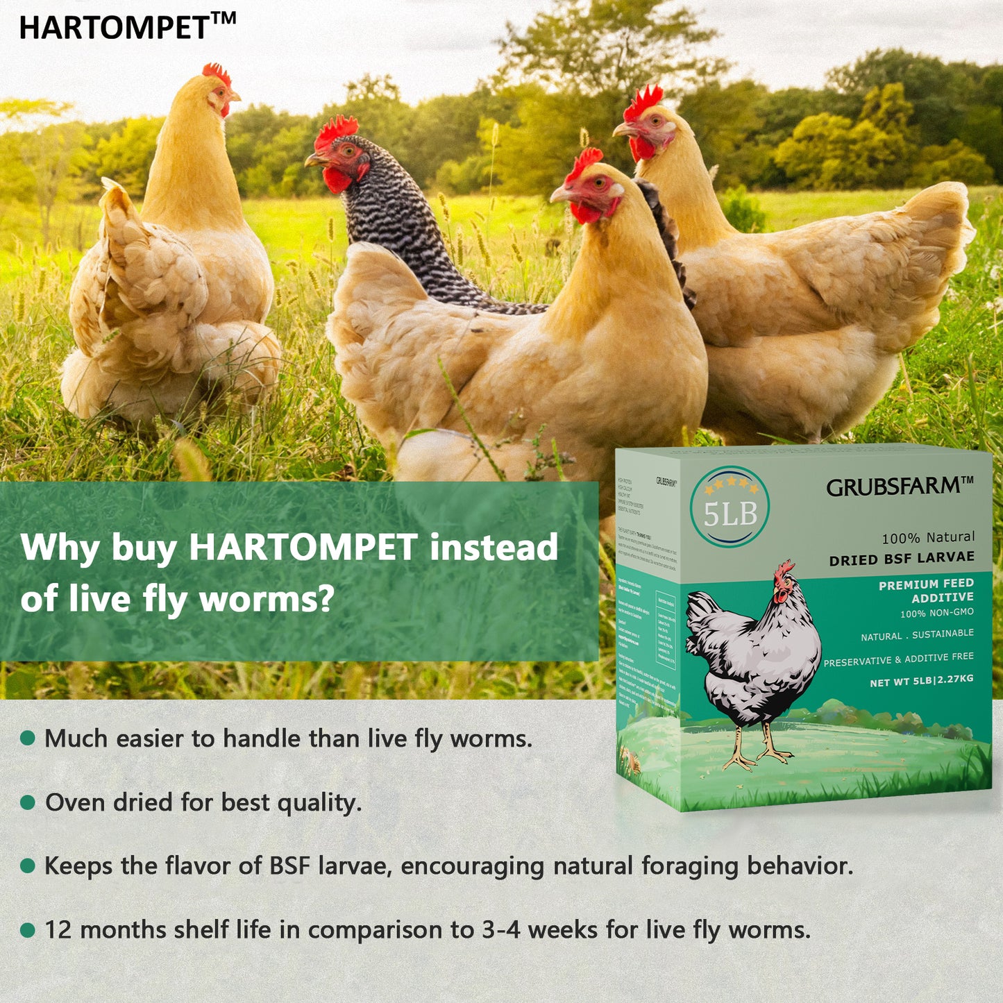 HARTOMPET Premium Dried Black Soldier Fly Larvae for Chickens - Superior to Mealworms - 85X More Calcium Than Meal Worms - Molting & Laying Hens Supplement - Non-GMO BSF Larvae Treats for Ducks