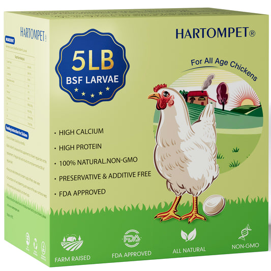 HARTOMPET Dried Black Soldier Fly Larvae, Non-GMO, Strong Egg Production and Health