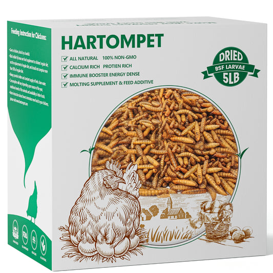 HARTOMPET Dried Black Soldier Fly Larvae - Non-GMO, 85X More Calcium Than Mealworms