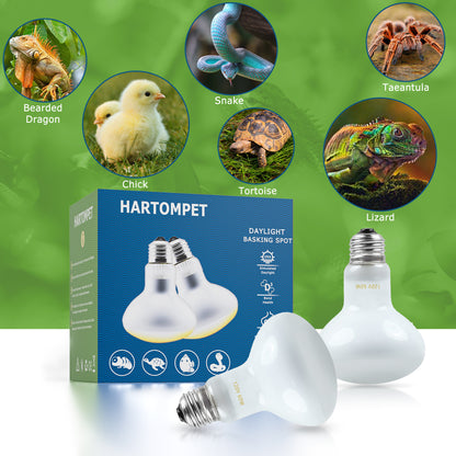 HARTOMPET Reptile Heat Lamp Bulbs, UVA Basking Spot Light for Bearded Dragon, Lizard, Tortoise, Chicks, Other Reptiles & Amphibians - Simulated Natural Sunlight Terrarium Heat Lamps | 2 Pack