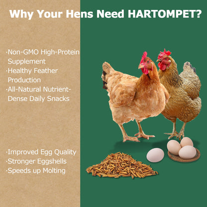 HARTOMPET Premium Dried Black Soldier Fly Larvae for Chickens, Non-GMO & High-Protein | Top Grade