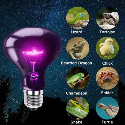 HARTOMPET Reptile Night Light Bulb - Simulated Moonlight & Purple Heat Lamp for Reptiles and Amphibians - Perfect UVA Basking Light for Bearded Dragons, Lizards and Aquatic Tanks