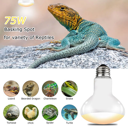 HARTOMPET E26 Reptile Heat Lamp Bulbs, Upgraded UVA Basking Spot Light for Bearded Dragon, Lizard, Tortoise, chicks & Amphibians - Simulated Natural Sunlight, Daylight Bulb fot Terrarium | 2 Pack