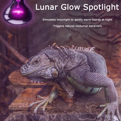 HARTOMPET Reptile Night Light Bulb - Simulated Moonlight & Purple Heat Lamp for Reptiles and Amphibians - Perfect UVA Basking Light for Bearded Dragons, Lizards and Aquatic Tanks